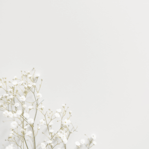 Workshop Achtsamkeit - 2 Tage